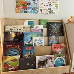 Book Shelf / Book Display 