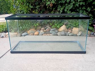 Reptile Tank 47 Gallons 36" W X 15 1/2" D X 17" T Excellent Condition
