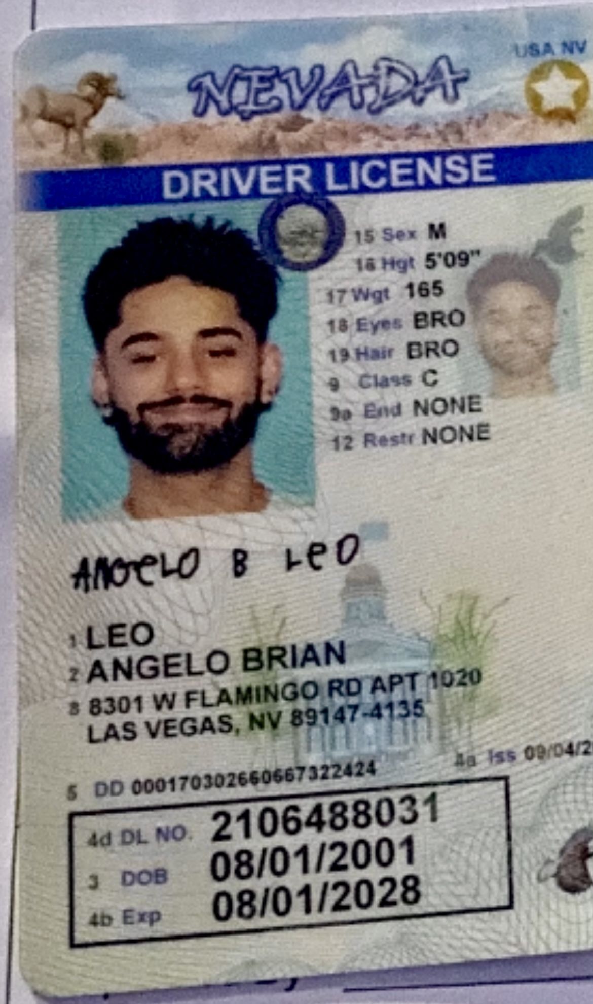 Nevada Driver's License Application and Renewal 2023