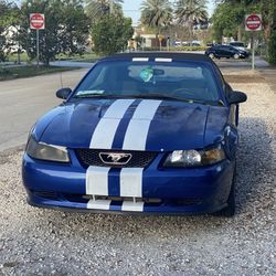 2004 V6 Manual Mustang 