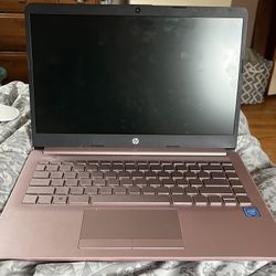 HP 14 Inch Windows Laptop (pink) 