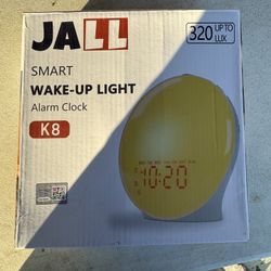 Jall Alarm Clock 