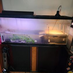 65 Gal Tank With Stand 