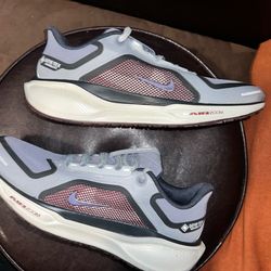 Nike Air Zoom Pegasus 41 GORE-TEX road running shoes men’s size 12