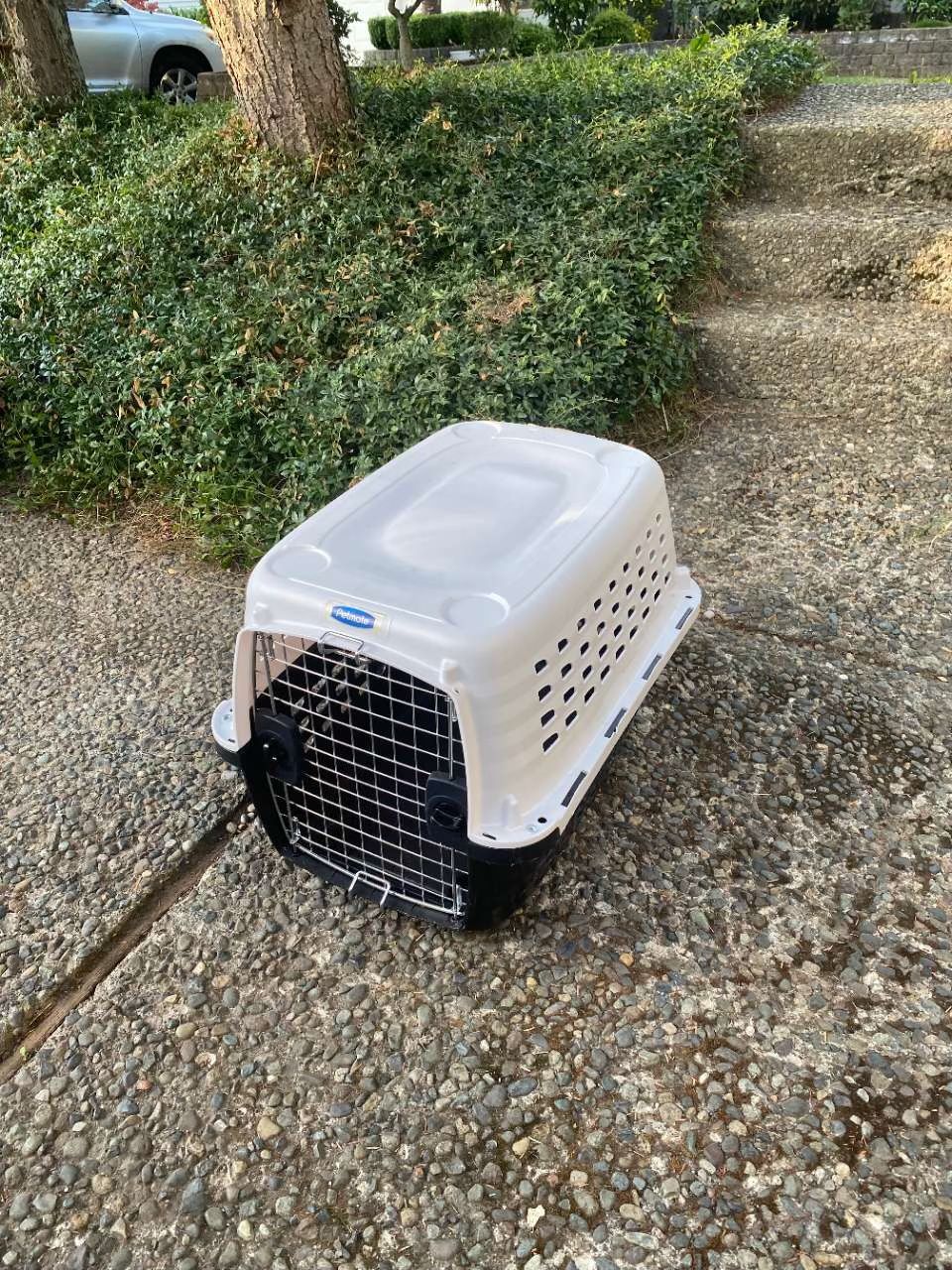 Pet Kennel