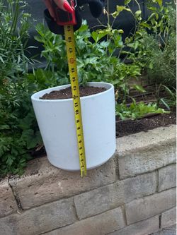 Large white ceramic planter