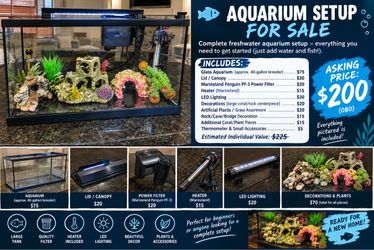 Complete 40-Gallon Freshwater Aquarium Setup