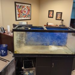 Fish Tank