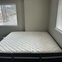 Beauty rest King Mattress With Box springs 