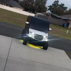 Electric golf cart