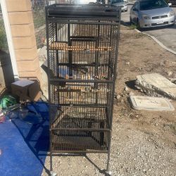Bird Cage