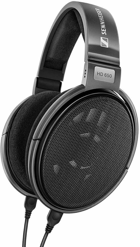 Sennheiser HD650 Audiophile Headphones