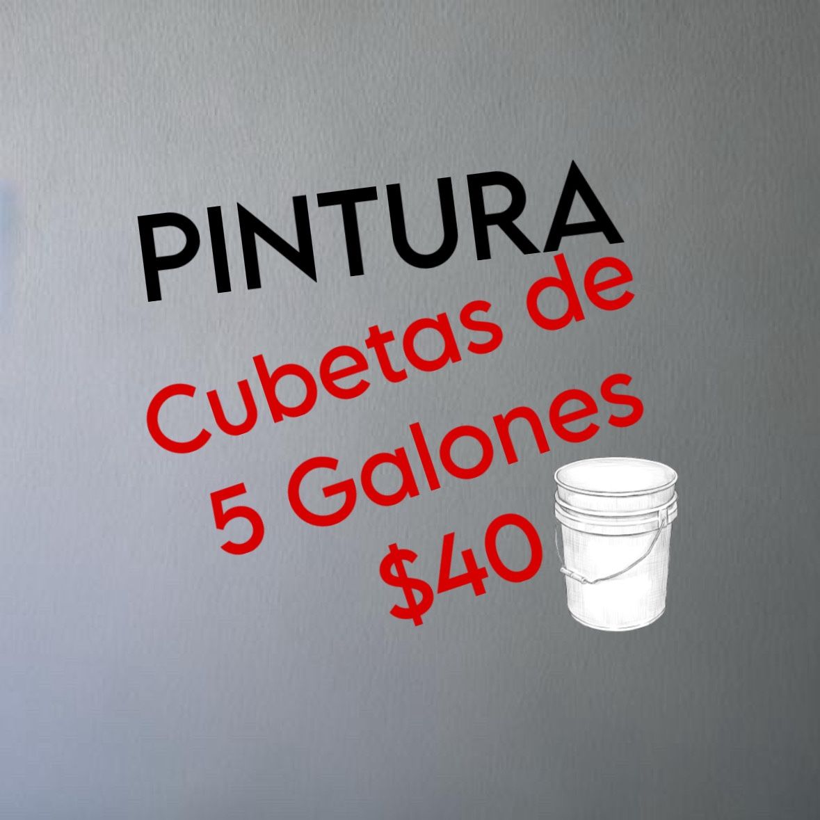 Pintura 5 galones