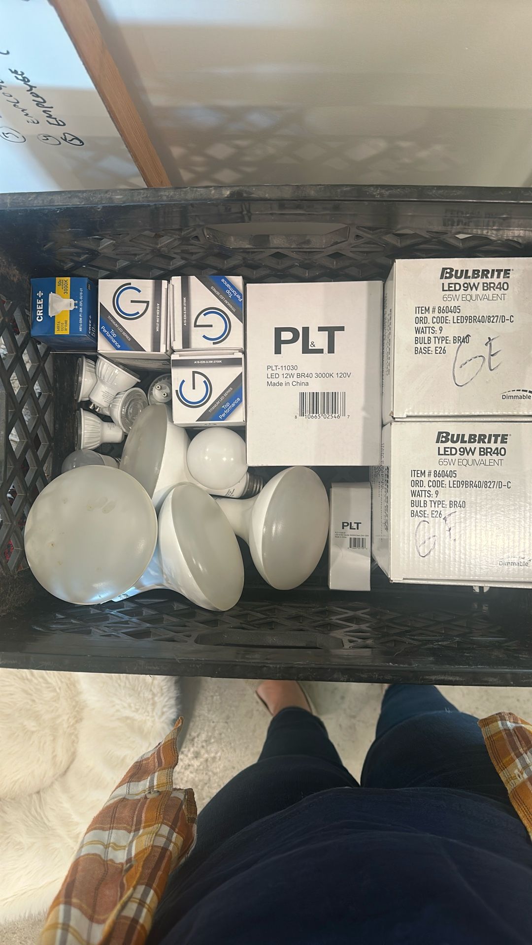 Light bulbs