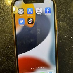 iPhone 12 With TTok