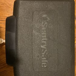Sentry Safe Lockbox 