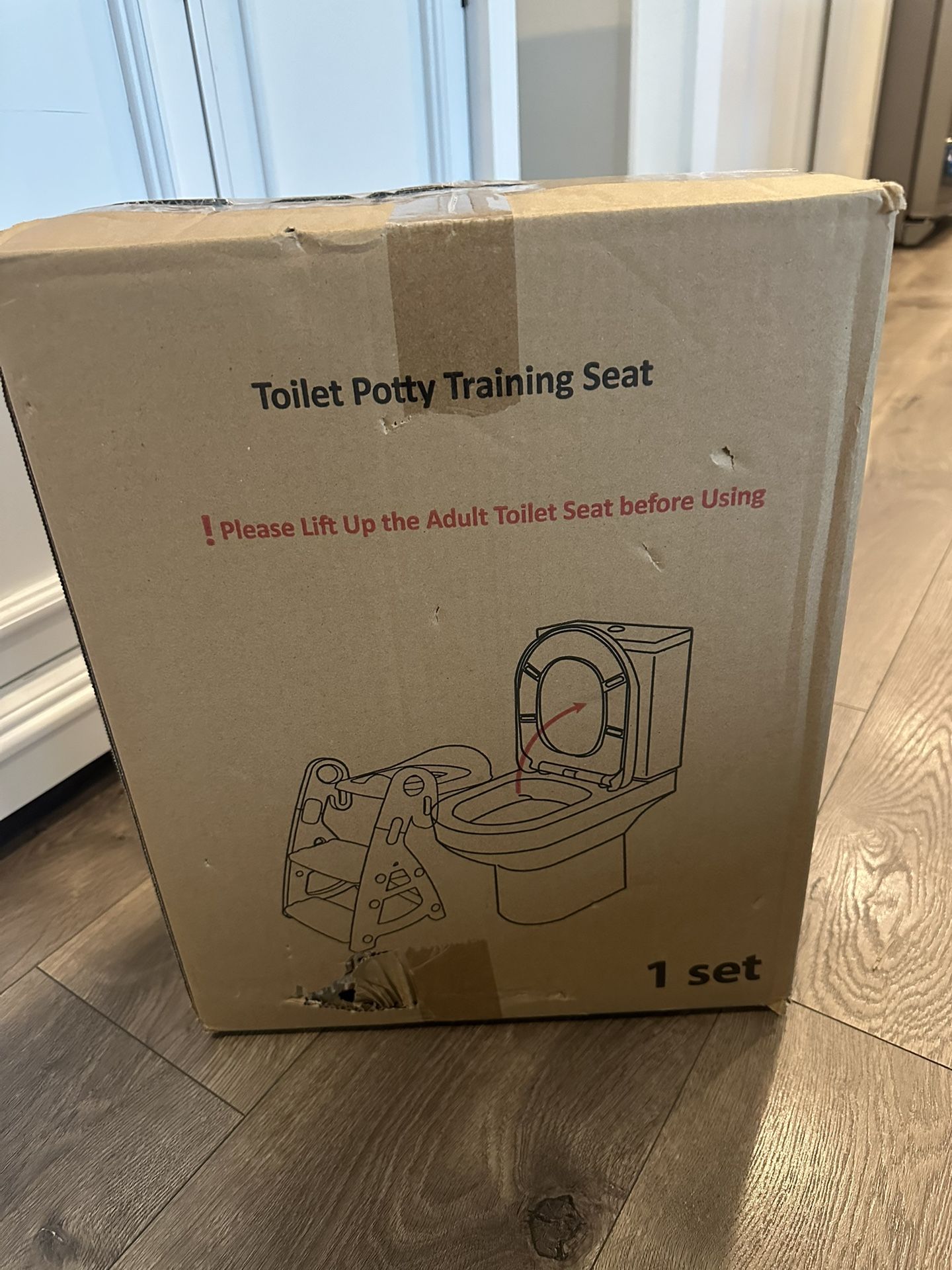New Potty Training and Stool