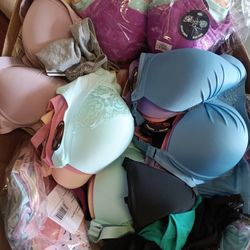 Woman Underwear And Bras 