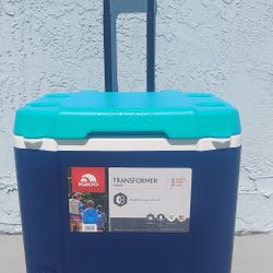 Igloo Beachcooler