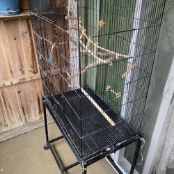 Bird Cage For Sale 