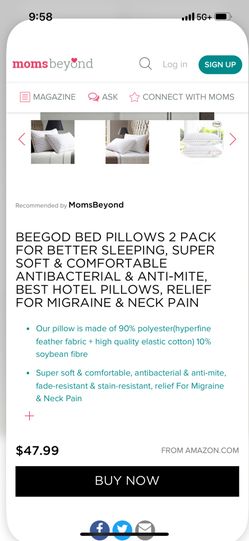 Pillows Set Of 2 New Beegod