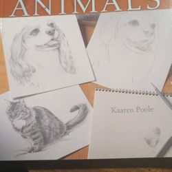 How To Sketch Animals