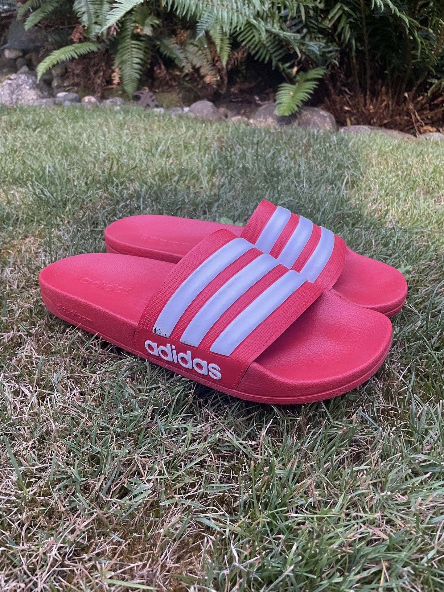 Adidas Cloadfoam Slides - 10 Men’s 