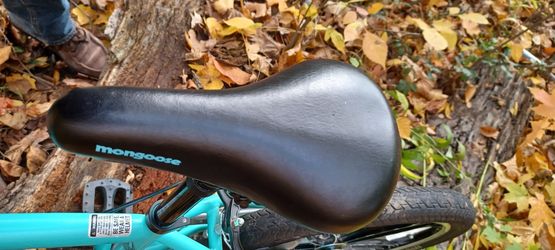 Mongoose craze mint new arrivals