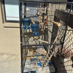 Bird Cage
