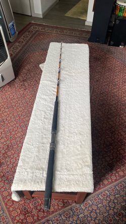 Saltwater fishing pole