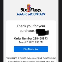 Magic Mountain Single Ticket