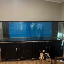 Fish Tank Aquarium 300 Gallon