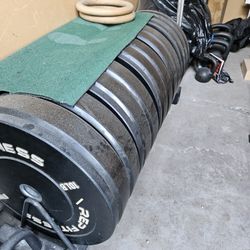 Various Workout Equipment 