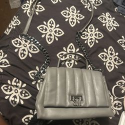 Steve Madden Purse