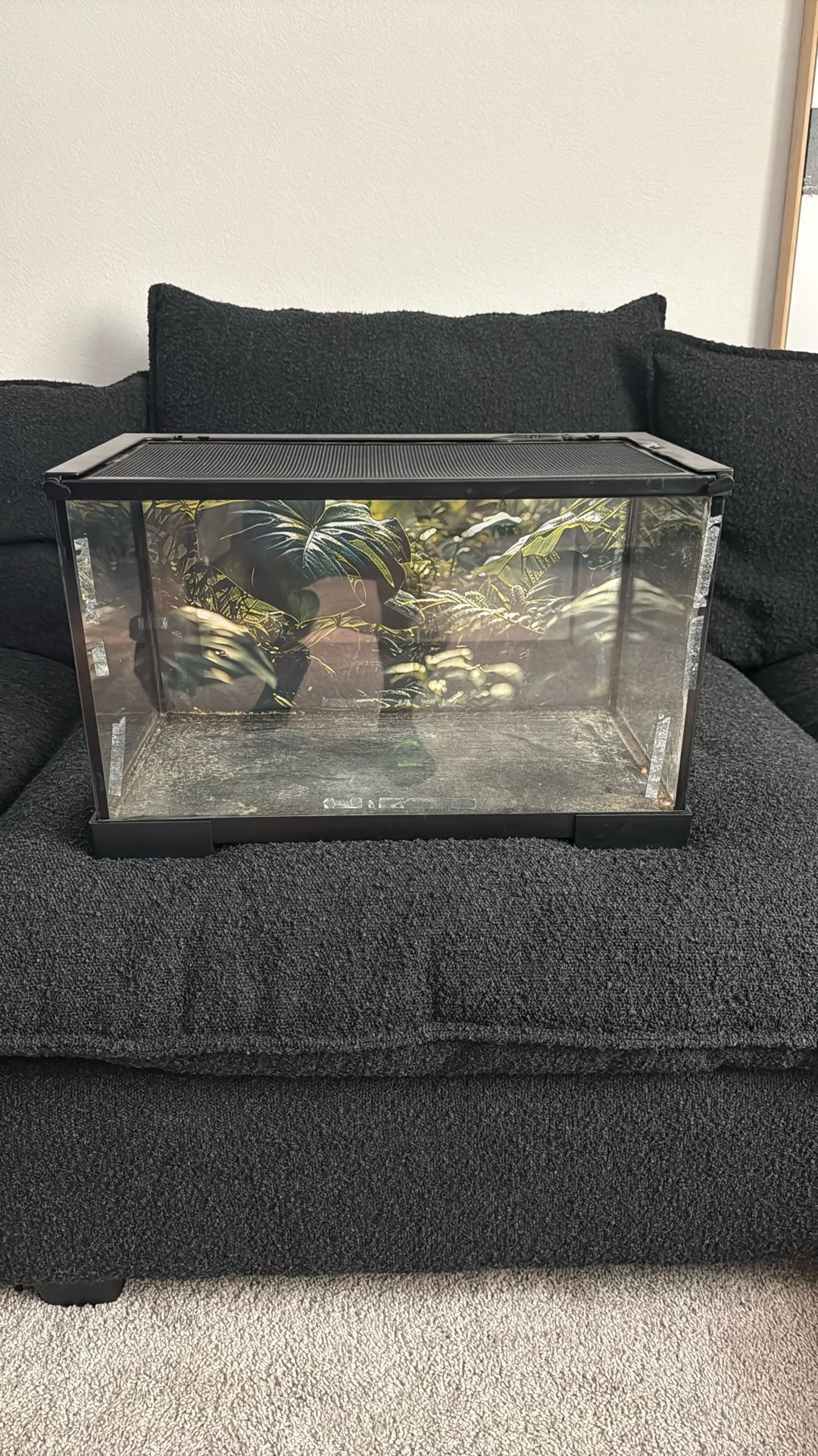 20 Gallon Reptile Tank