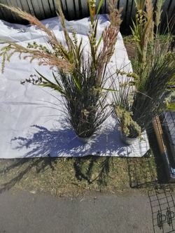 Faux plume grass