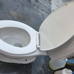 TOILET DELTA