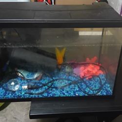 Fish Tank 