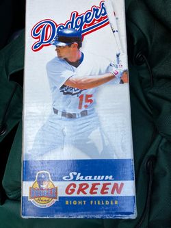 Juniors Baseball glove / Shawn Green