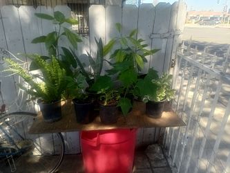 For sale