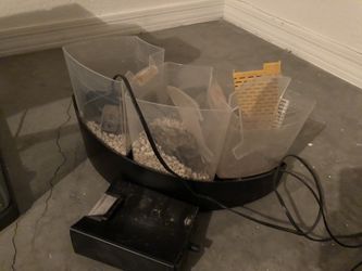 Berta fish tank