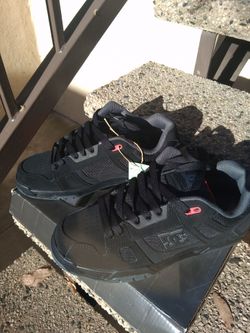 NEW Dc mens 9.5 STAG