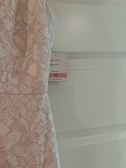 Taylor Dress Blush Lace Dress Size 10