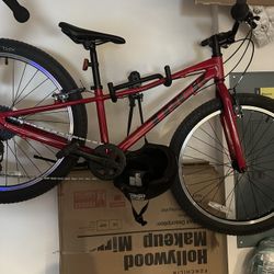Trek Bike Big Kids