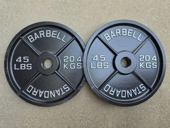 Rogue Olympic Iron Weight Plates 45s