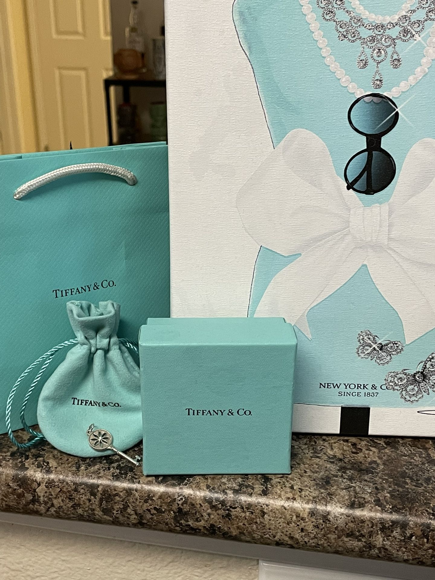 Beautiful Tiffany and Co Daisy Charm with Diamond