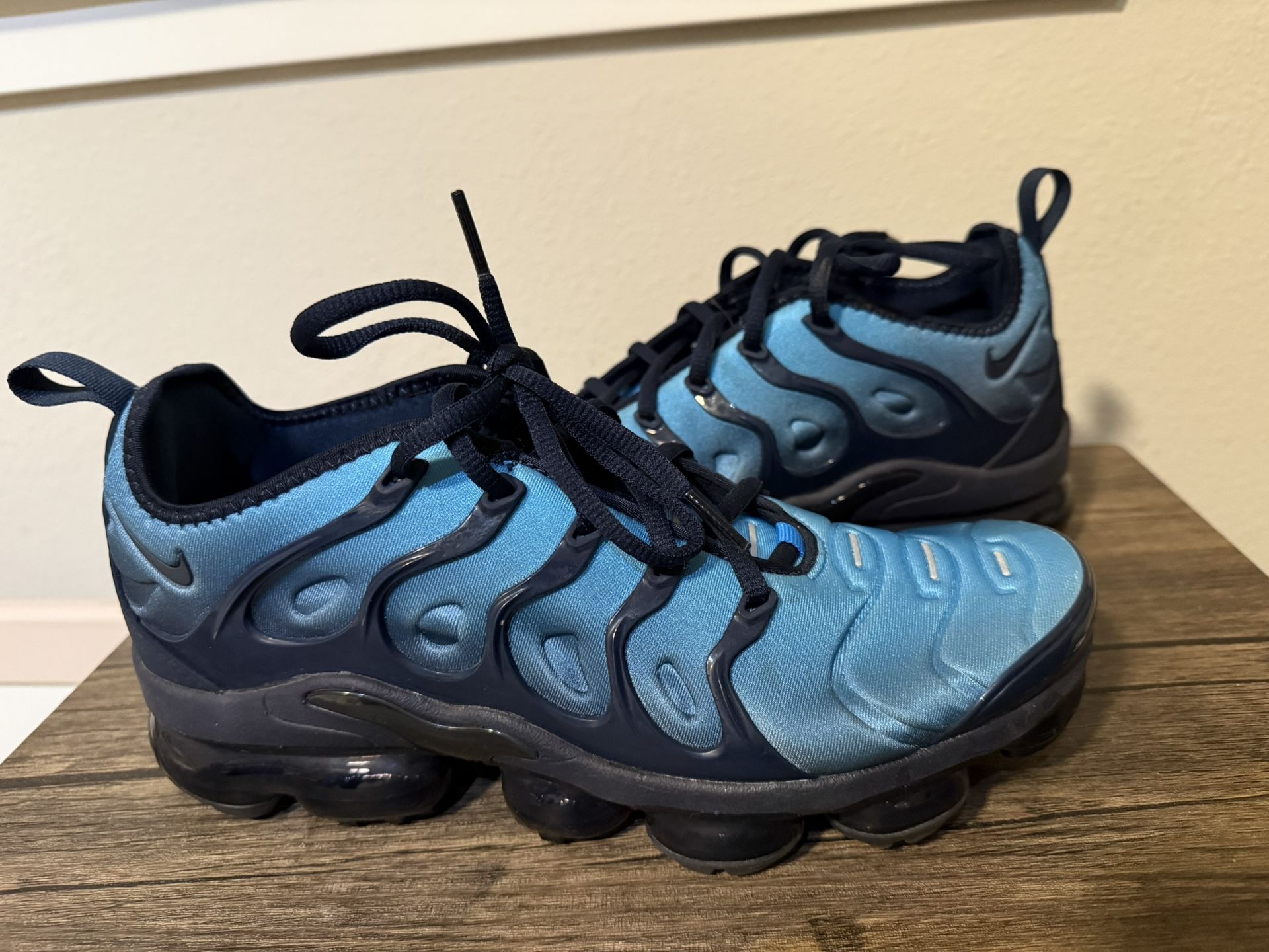 Nike Air VaporMax Plus Obsidian