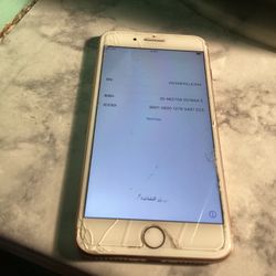 iPhone 8 Plus With Charger 