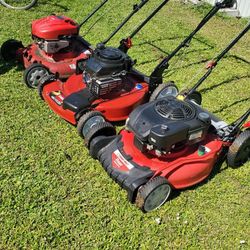 Mechanic Specialist  Needs Clean Carburetor And Spark Plug