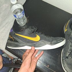 Kobes 8 shoes laker way